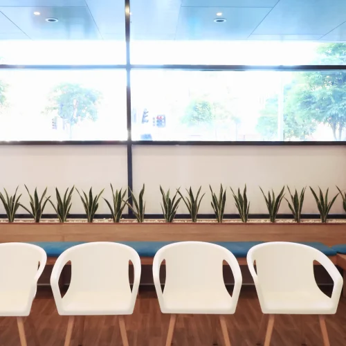 Window-side seating at WOW Dental